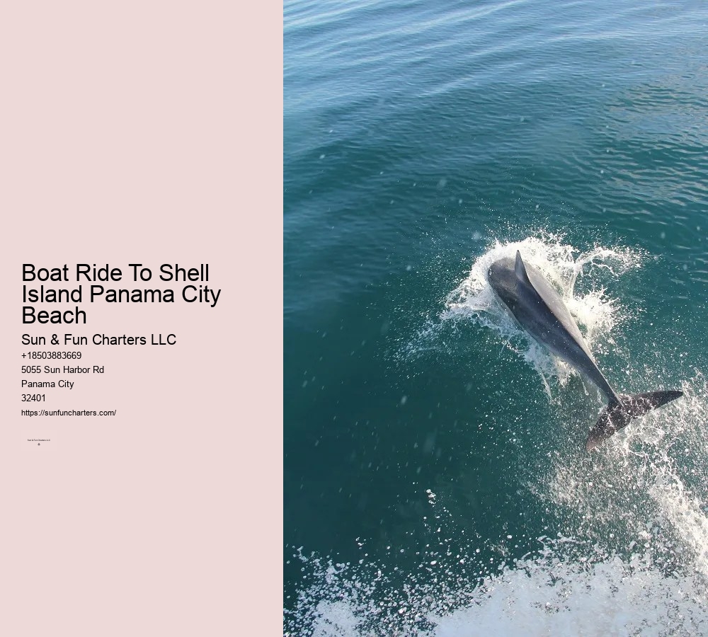 Shell Island Beach Tours Panama City Beach