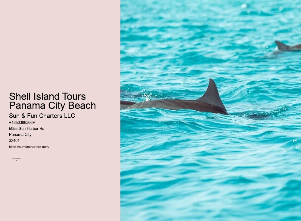 Shell Island Tours Panama City Beach