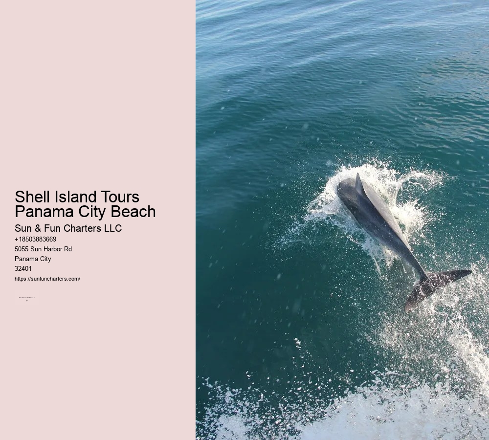 Shell Island Panama City Beach Tours
