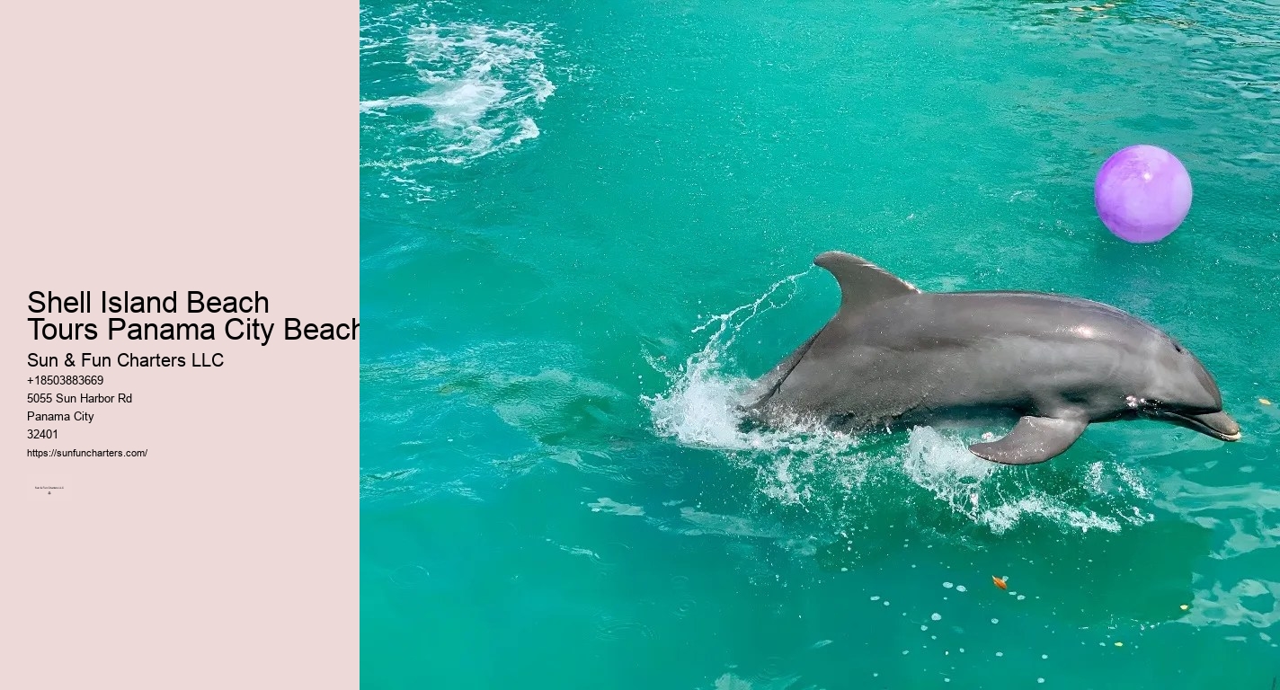 Shell Island Beach Tours Panama City Beach