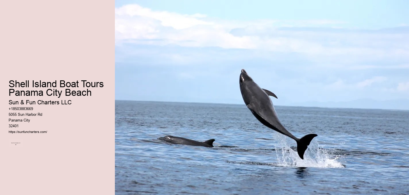 Panama City Beach Boat Tours To Shell Island