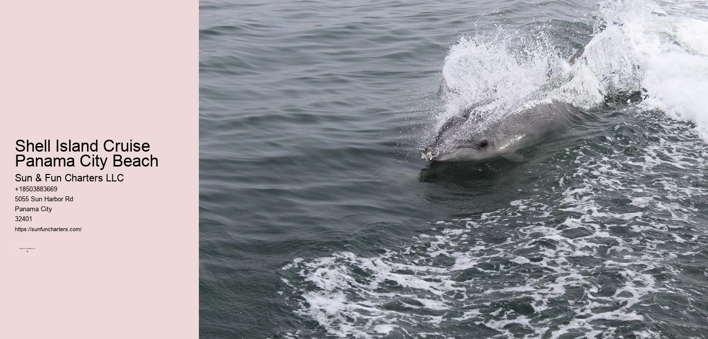 Swim With Dolphins Panama City Beach Shell Island