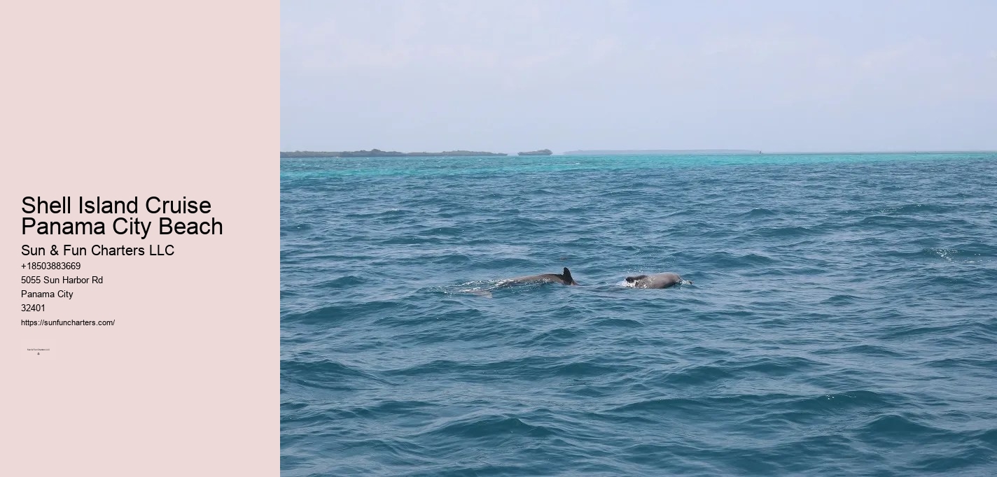 Shell Island Dolphin Cruise Panama City Beach