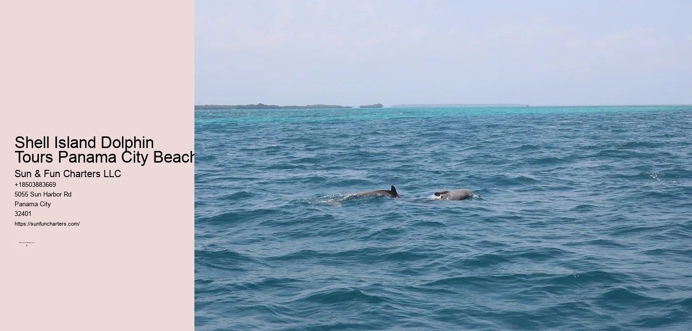 Pcb Shell Island Tours