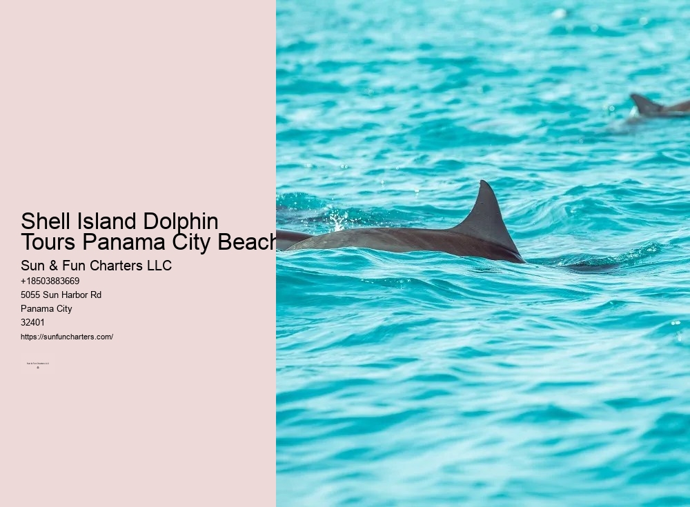 Shell Island Beach Tours Panama City Beach
