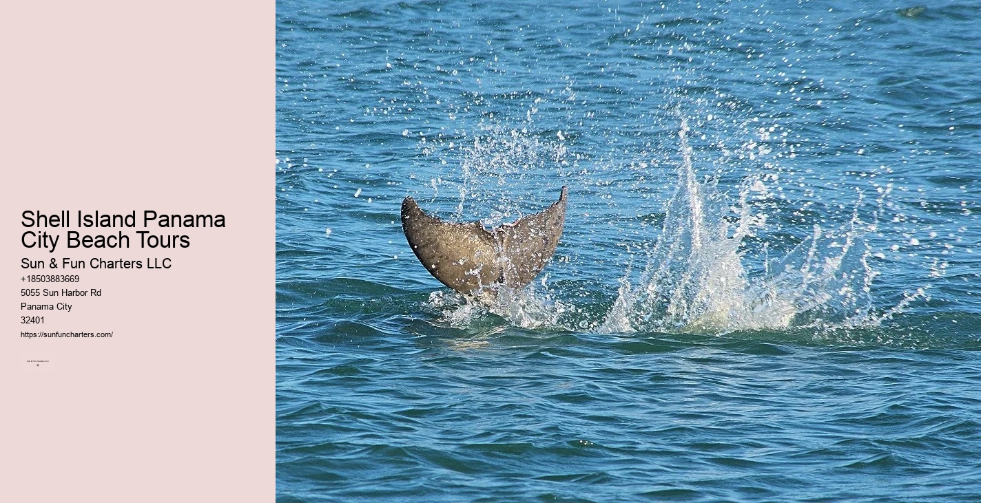 Shell Island Dolphin Cruise Panama City Beach