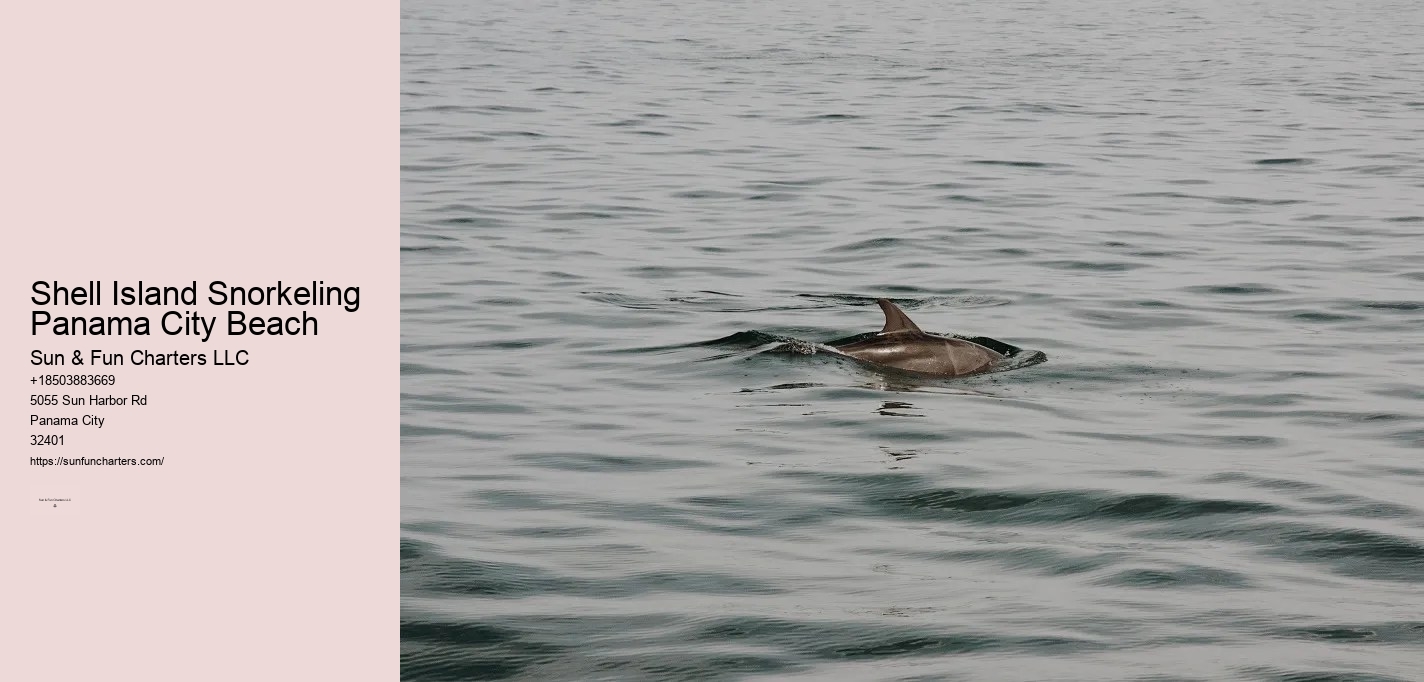 Shell Island Dolphin Cruise Panama City Beach